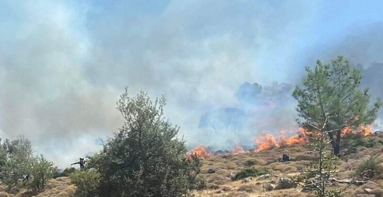 Φωτιά στην Ιεράπετρα Κρήτης, στην περιοχή Κεντρί -Κοντά σε σπίτια και θερμοκήπια