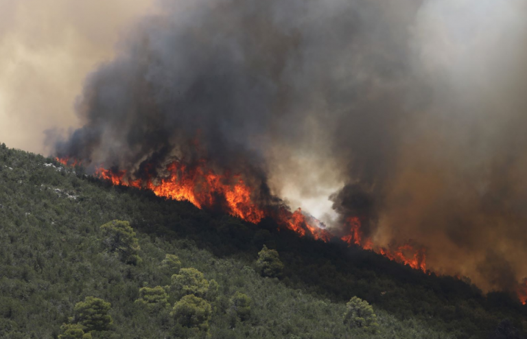 Φωτιά στην Εύβοια: Νέος συναγερμός στην Πυροσβεστική για την Κύμη – Κοντά σε χωριό οι φλόγες