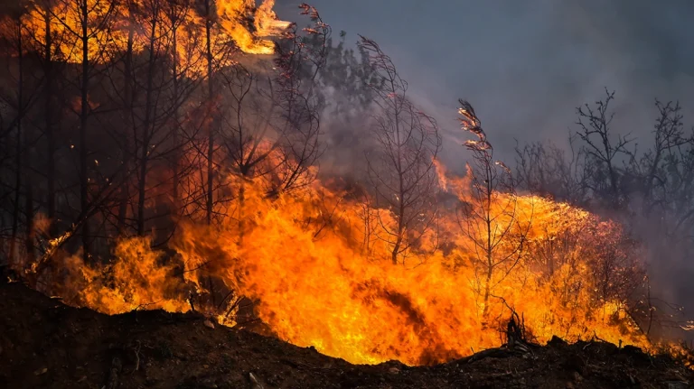 Φωτιά στη Μαγνησία: Εκκένωση τώρα σε Νέα Αγχίαλο και άλλα 8 χωριά δίπλα στον Βόλο – Θυελλώδεις άνεμοι 7 μποφόρ
