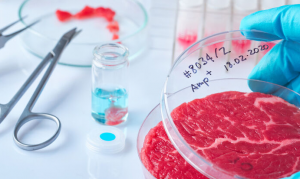 Davos: Το συνθετικό κρέας θα είναι το μέλλον – θα μας πάρει δεκαετίες αλλά θα τους πείσουμε…