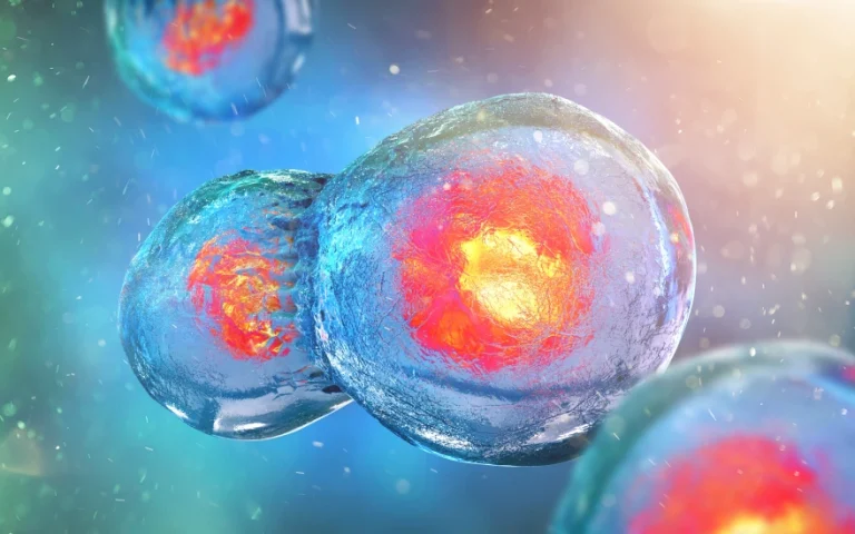 Το πρώτο συνθετικό ανθρώπινο έμβρυο είναι γεγονός – Πόσο επέζησε;
