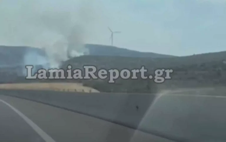 Φωτιά στην Εθνική Οδό Λαμίας – Αθηνών σε δασική έκταση
