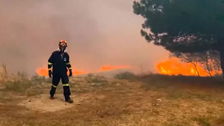 Φωτιά στην Αλεξανδρούπολη: Με διάσπαρτες εστίες μάχονται οι πυροσβέστες – Αναζωπυρώσεις από τους ισχυρούς ανέμους