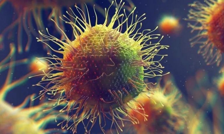 Επιστήμονες ανακάλυψαν 16 τεράστιους ιούς με άκρα και εσωτερικές δομές που δεν έχουμε ξαναδεί