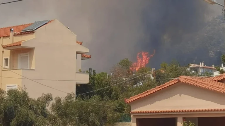 Μεγάλη φωτιά στη Φυλή: Εκκένωση προς Άνω Λιόσια – Καίγονται σπίτια