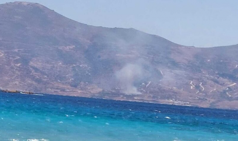 Φωτιά στην Κάρυστο: Κοντά σε σπίτια οι φλόγες -Πνέουν ισχυροί άνεμοι