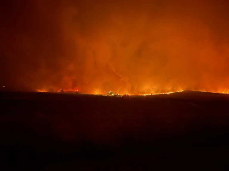 Φωτιά στον Έβρο: Νέο μήνυμα του «112» στο Σουφλί – «Παραμείνετε σε ετοιμότητα»