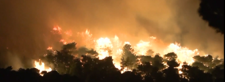 «Μαύρο ρεκόρ» για τις καμένες εκτάσεις στην Ελλάδα – Κρούουν τον κώδωνα του κινδύνου οι επιστήμονες για δύσκολο χειμώνα