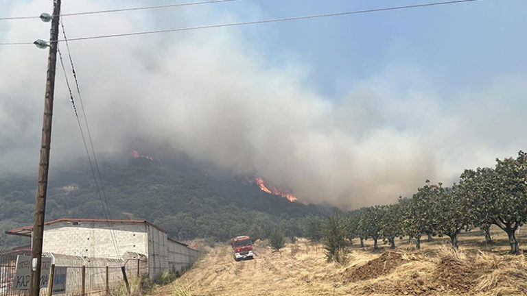 Φωτιά στη Μακρακώμη