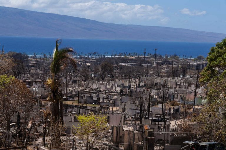 ΜΑΟΥΙ (Χαβάη) – Η Προσχεδιασμένη Μαζική Δολοφονία και η Αρπαγή της Γης με αποδείξεις.