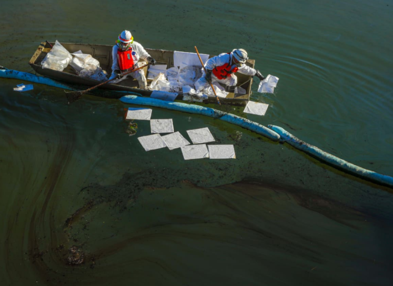 Σε ακτές και παραλίες έφτασε το πετρέλαιο που διέρρευσε στον Κόλπο του Μεξικού