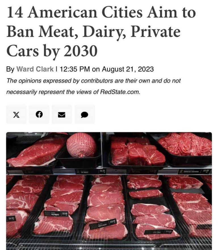 Ο οργανισμός για το κλίμα, γνωστός ως “C40 Cities Climate Leadership Group”, έχει έναν “φιλόδοξο στόχο” μέχρι το 2030.