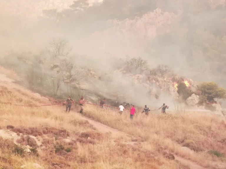 Φωτιά στη Φυλή: Μεγαλώνει το πύρινο μέτωπο – Νέο μήνυμα 112 για Άνω Λιόσια, Γεννηματά και Κανάλα