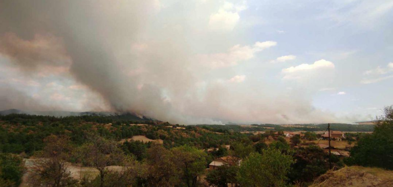 Η φωτιά στον Έβρο καίει για 16η μέρα – Περιορίστηκε το μέτωπο στη Λευκίμμη, φόβοι για αναζωπυρώσεις