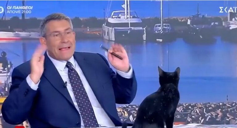 Μαύρη γάτα εισέβαλε στο στούντιο του ΣΚΑΪ και ανέβηκε στο τραπέζι, μπροστά από τον Άκη Παυλόπουλο