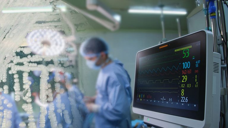 ΕΟΔΥ: Candida auris ή Candidozyma – 9 απαντήσεις για τον μύκητα που προκαλεί σοβαρές λοιμώξεις