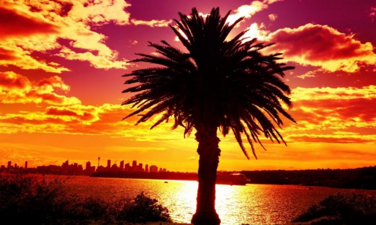 Αυστραλία: Ασυνήθιστη εαρινή ζέστη με θερμοκρασίες 12 βαθμούς πάνω από τον μέσο όρο