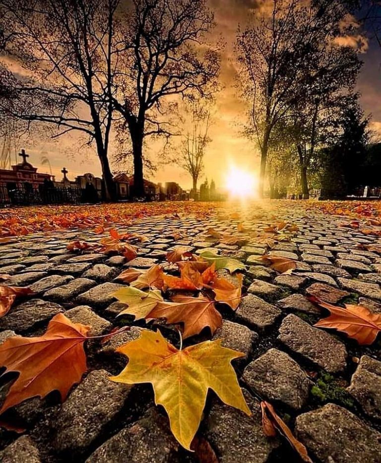 Γιατί ἡ πνευματικὴ ζωὴ τῶν συγχρόνων χριστιανῶν εἶναι καχεκτική;