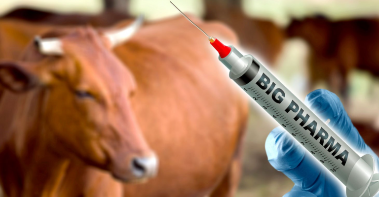 Στις ΗΠΑ θα μολύνουν σύντομα το βόειο κρέας, το χοιρινό και τις γαρίδες με εμβόλιο mRNA.