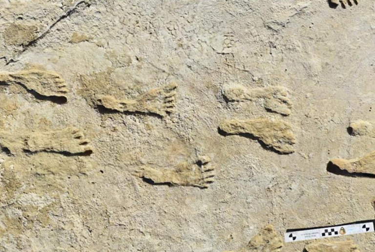 Νέα αποβλάκωση γυρεύει νέα θύματα: πατημασιές που εξογκώνουν αντί να βυθίζουν τα πέλματα & το έδαφος….