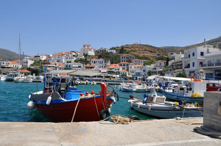 Άνδρος: Απίστευτες εικόνες με σαρδέλες που βγήκαν στη στεριά