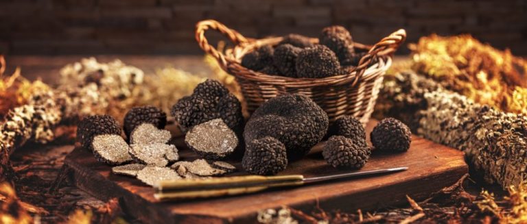 Τα 12 πιο ακριβά μανιτάρια στον κόσμο