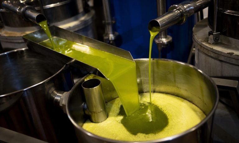 Έρχεται νέα «εκτόξευση» στην τιμή του ελαιόλαδου – Πρόεδρος ΙΝΚΑ: «Θα ξεπεράσει τα 24 ευρώ το λίτρο στο ράφι των σούπερ μάρκετ»