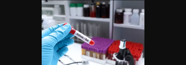 ΠΟΥ: Χτυπάει «καμπανάκι» για τις επιδημίες άνθρακα – Πάνω από 1.100 κρούσματα σε 5 χώρες