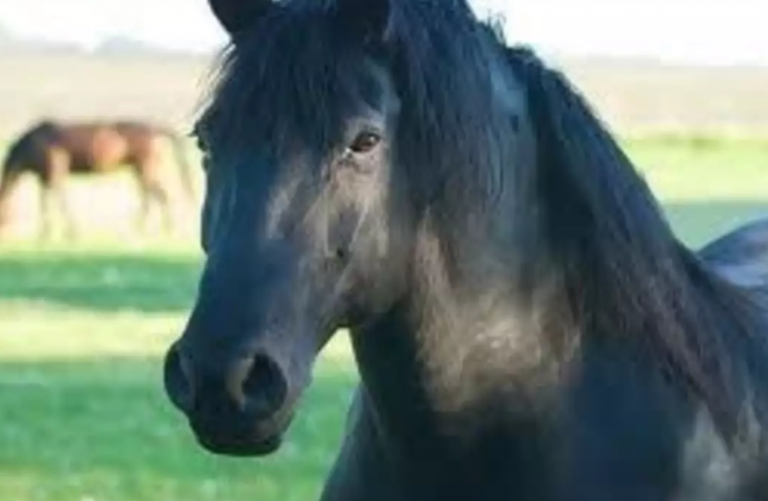 Τρεξε τωρα,….μην σταματας !
