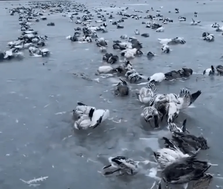 Ακραίο ψύχος σε επαρχία της Κίνας, στους – 52,3 °C η θερμοκρασία