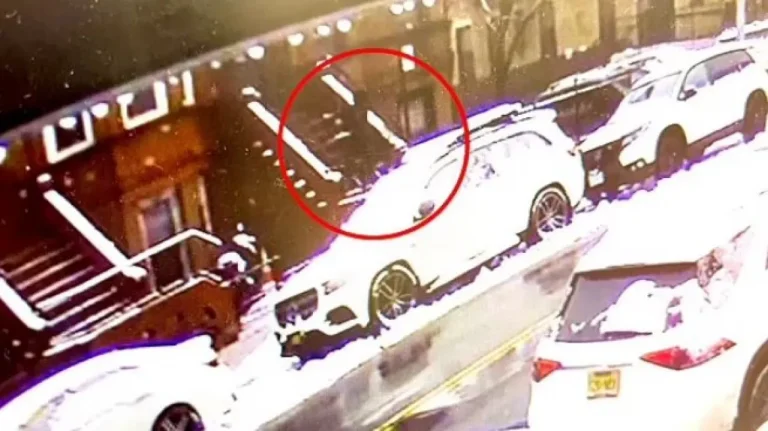 Νέα Υόρκη: Τραγικός θάνατος για 74χρονη – Τη χτύπησε τούβλο στο κεφάλι ενώ καθάριζε το χιόνι στην είσοδο του σπιτιού της