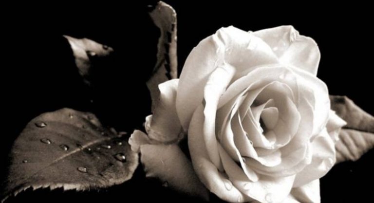 Θρήνος από τον ξαφνικό θάνατο 27χρονης στην Αμαλιάδα