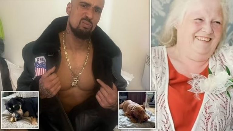 Βρετανία: Σκυλιά κατασπάραξαν 68χρονη μπροστά στον εγγονό της