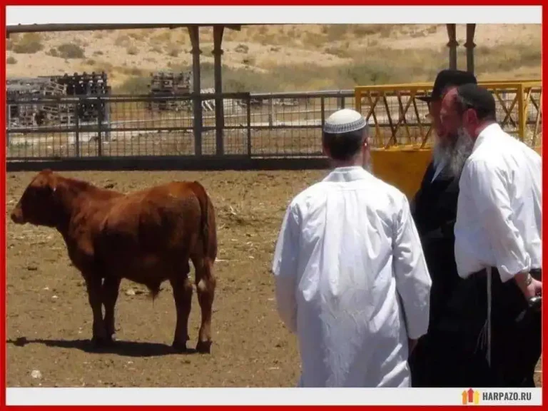 Μπάιντεν : Είπα στον Νετανιάχου ότι εσύ κι εγώ θα συναντήσουμε σύντομα «τον Μεσσία (Αντίχριστο) στην Ιερουσαλήμ»!