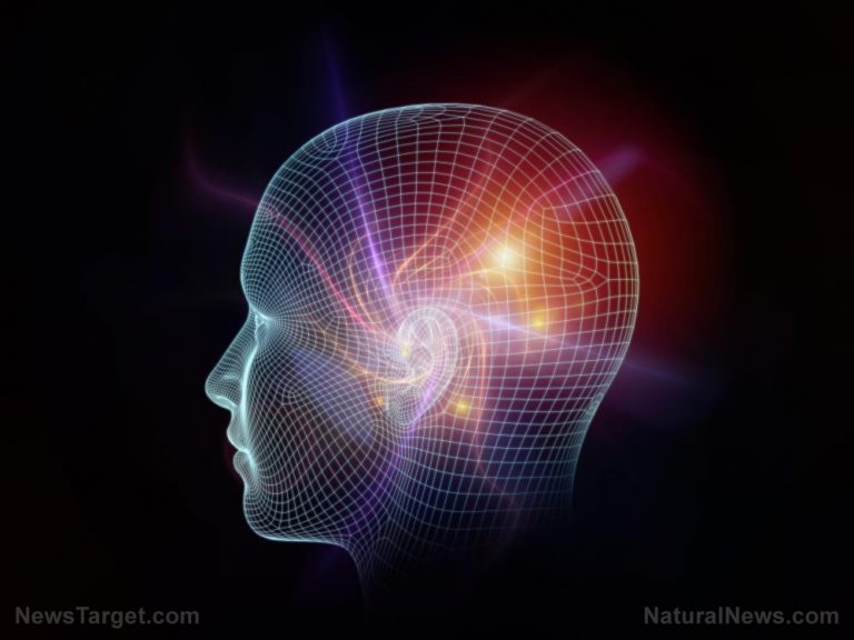 Η ανθρώπινη γνώση δέχεται επίθεση από τη Μεγάλη Τεχνολογία και τη Μεγάλη Κυβέρνηση – δείτε τι κάνουμε για να διατηρήσουμε και να μοιραστούμε τη σωτήρια γνώση που έχει στοχοποιηθεί για εξόντωση.