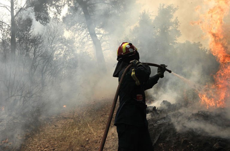 Υψηλός Κίνδυνος Πυρκαγιάς Αύριο στη Ρόδο: Σε Αυξημένη Ετοιμότητα οι Αρχές
