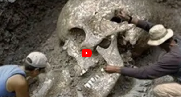 Γιγάντιοι σκελετοί που αναφέρθηκαν από όλη τη Βόρεια Αμερική