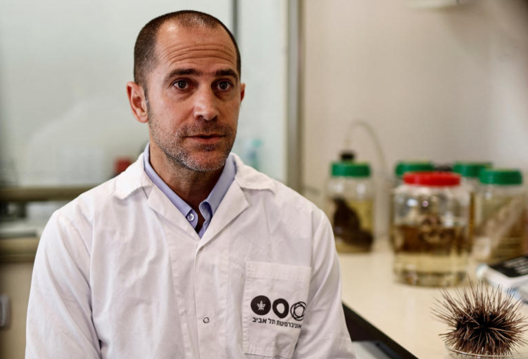 Η πανδημία του αχινού εξαπλώνεται, θέτοντας σε κίνδυνο τους κοραλλιογενείς υφάλους