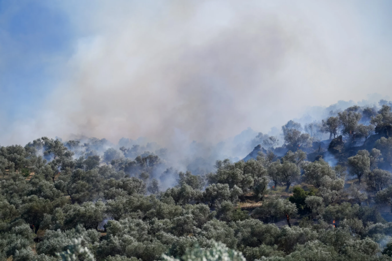 Φωτιά τώρα στην Αργολίδα