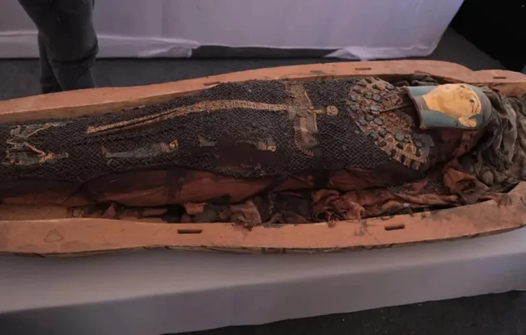 Ανακαλύφθηκε σαρκοφάγος 3.500 ετών με ζωγραφιά που δείχνει… αγαπημένο χαρακτήρα των Simpsons