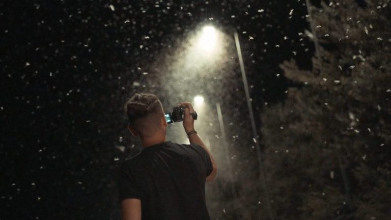 Εικόνες ΑΠΟΚΑΛΥΨΗΣ στην ε.ο. Τρικάλων – Λάρισας – Εκατομμύρια έντομα “έκλεισαν” το δρόμο