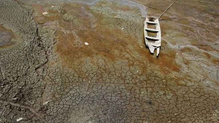 «Χάνεται» η μεγαλύτερη λίμνη της Σικελίας και μαζί της χιλιάδες είδη ζώων