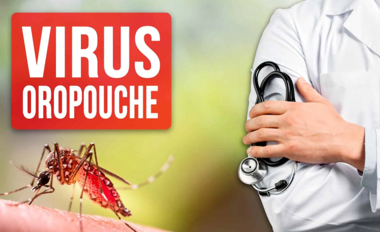 Oropouche: Συναγερμός και στην Ευρώπη για τον ιό που μεταφέρουν ταξιδιώτες