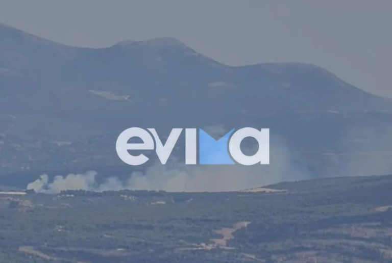 Φωτιά τώρα στην Εύβοια: Αποπνικτική η κατάσταση από τους καπνούς