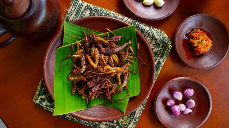 Η Σιγκαπούρη εγκρίνει 16 είδη εντόμων ως τροφή