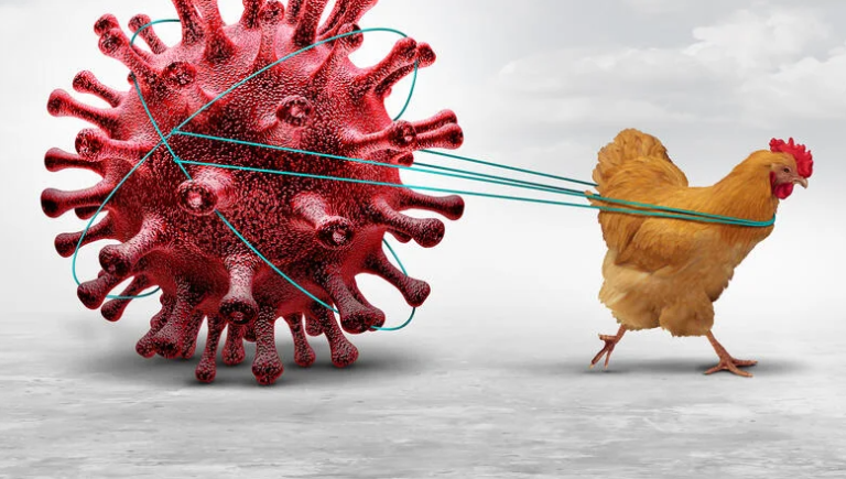 Ο ιός της γρίπης των πτηνών αν μεταλλαχθεί, μπορεί να προκαλέσει πανδημία χειρότερη του κορονοϊού – Σενάριο τρόμου από το Ινστιτούτο Παστέρ