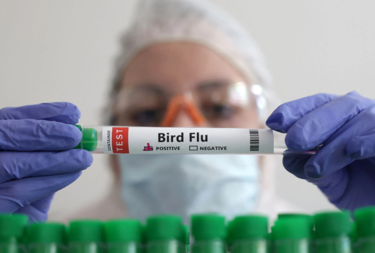 Γρίπη των πτηνών: 590 εκατ. δολάρια επιπλέον στη Moderna από τις ΗΠΑ για την ανάπτυξη εμβολίου