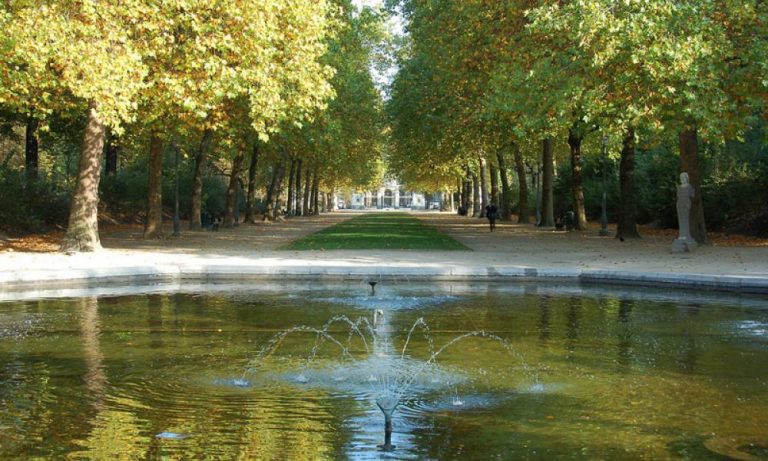 Σοκ στο πάρκο των Βρεξελλών: Σκοτώθηκε βρέφος όταν κλαδί δέντρου έπεσε στο καρότσι του