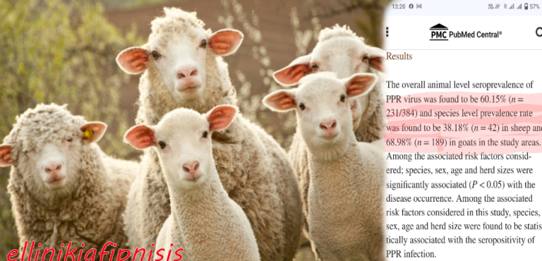 Χρησιμοποιούν την «ΠΑΝΩΛΗ» για να καταστρέψουν την ζωική παραγωγή και να οδηγηθούμε σε επισιτιστική κρίση;