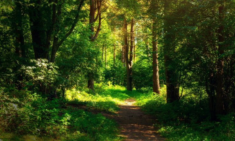 Αναθεωρήστε κάποιοι/ες……. Γίνονται και λάθη….